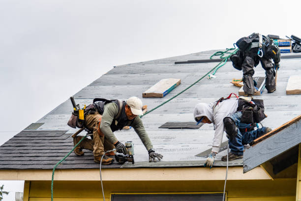 Professional Storm Damage Roof Repair technician working in Gibson, AR